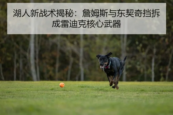 湖人新战术揭秘：詹姆斯与东契奇挡拆成雷迪克核心武器